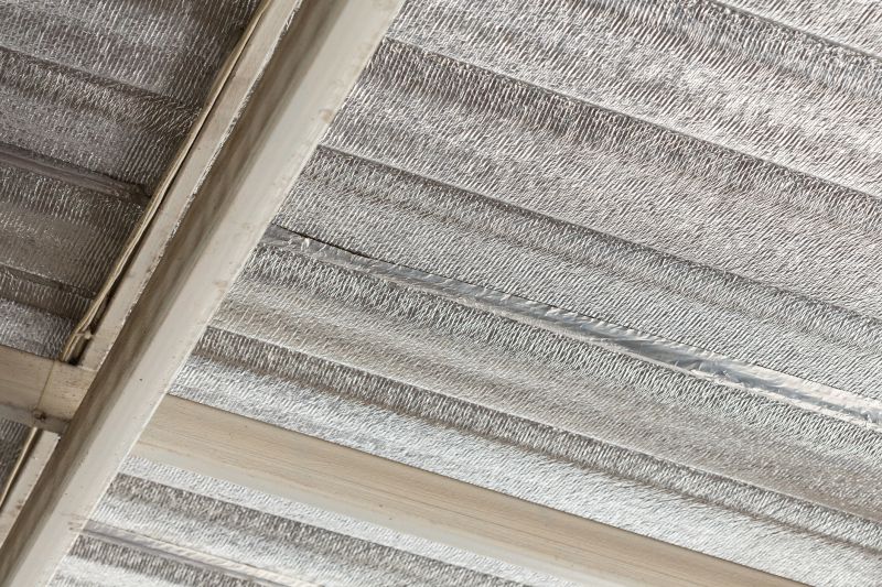 Ceiling Insulation Service